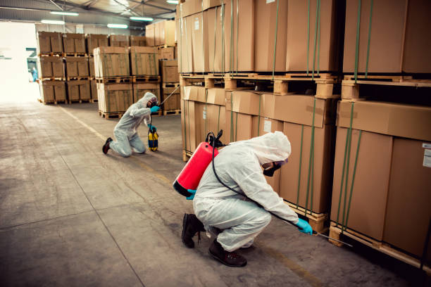 Best Pest Control Near Me  in Los Alamos, CA