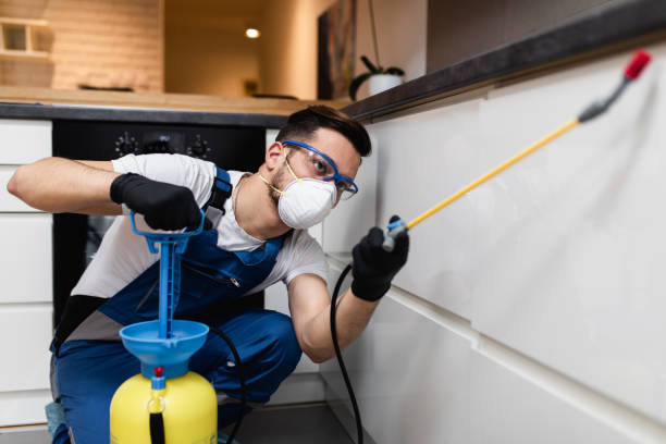 Best Affordable Pest Control Services  in Los Alamos, CA