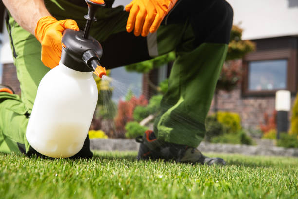 Best Exterminator Services  in Los Alamos, CA