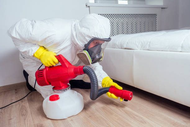 Best Pest Prevention Services  in Los Alamos, CA