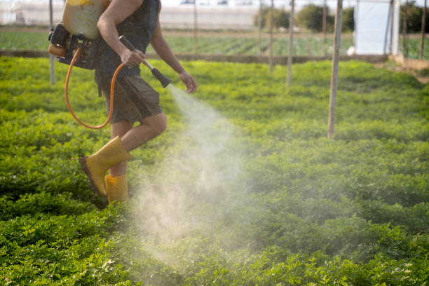 Best Pest Control Near Me  in Los Alamos, CA