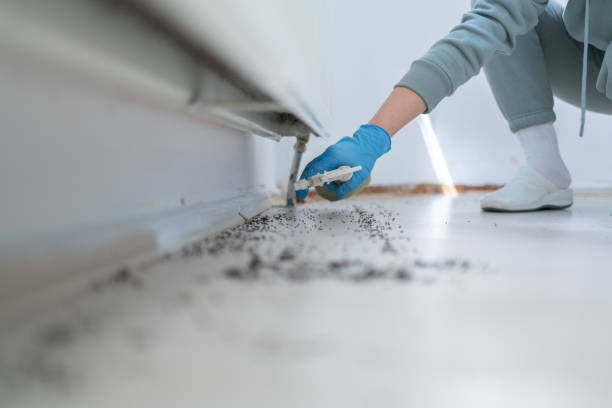 Pest Prevention Services in Los Alamos, CA