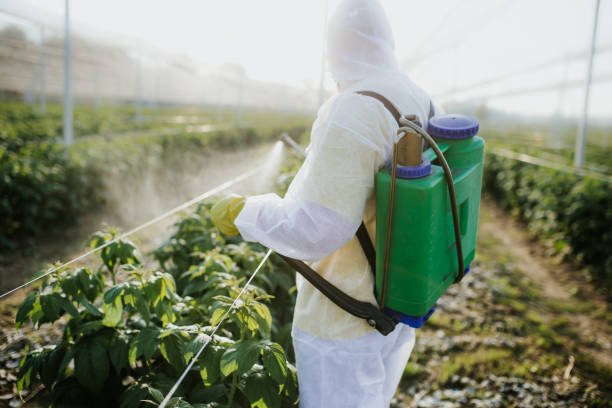 Best Residential Pest Control  in Los Alamos, CA